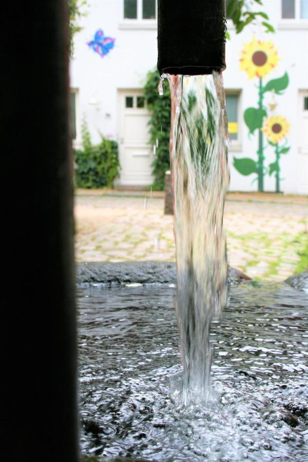 Zentrale Ferienwohnung Anker Im Sonnenblumenhaus Flensburg Exterior foto